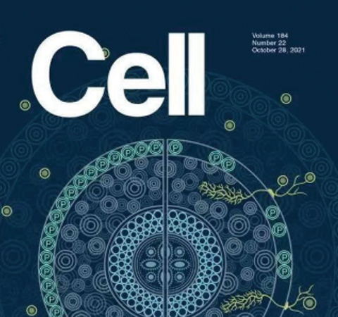 祝賀王二濤老師團(tuán)隊(duì)又一佳作榮登Cell期刊！